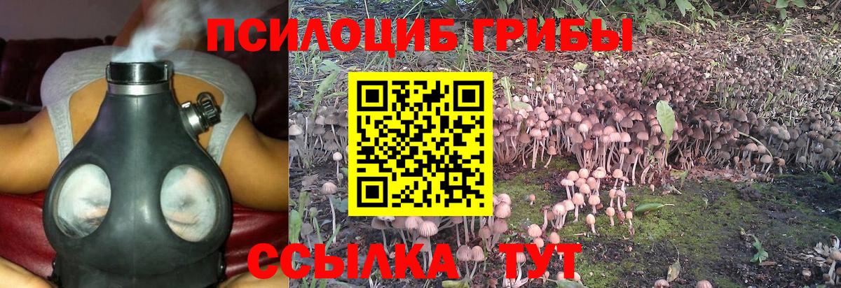 Мценск  Псилоцибиновые грибы мухоморы  Вход с VPN 